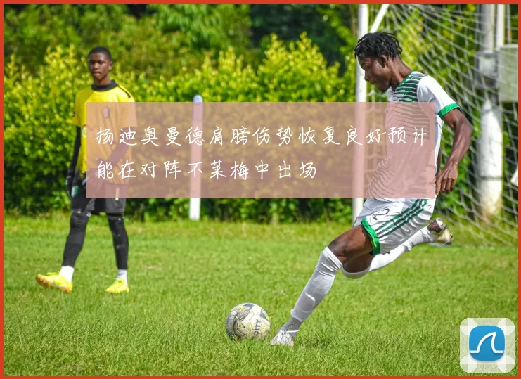 扬迪奥曼德肩膀伤势恢复良好预计能在对阵不莱梅中出场