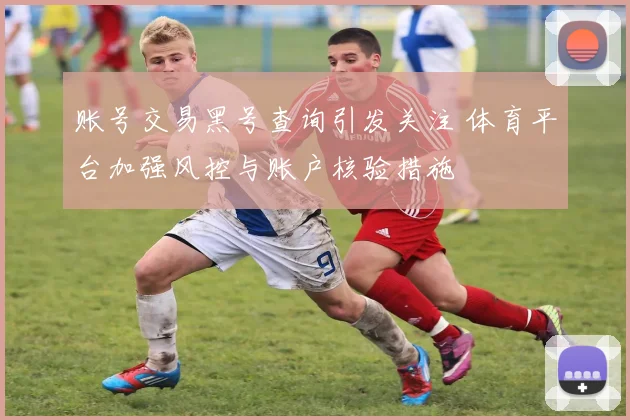 账号交易黑号查询引发关注 体育平台加强风控与账户核验措施