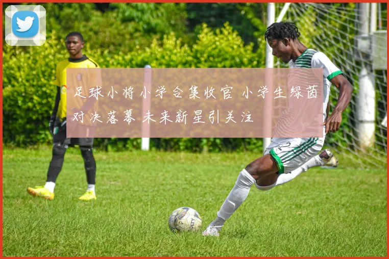 足球小将小学合集收官 小学生绿茵对决落幕 未来新星引关注